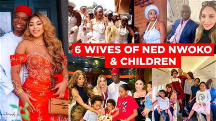 Check Out All You Need to Know About The 6 Wives Of Ned Nwoko And Their Children